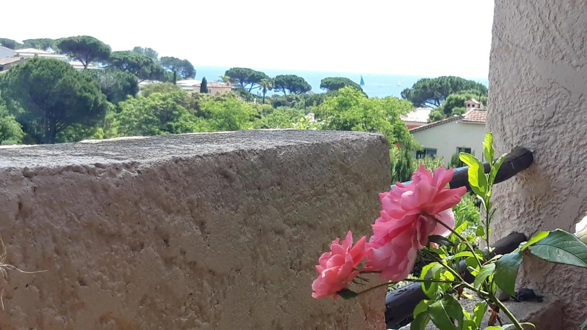 Le Gecko Sea View Daire Sainte-Maxime Fransa